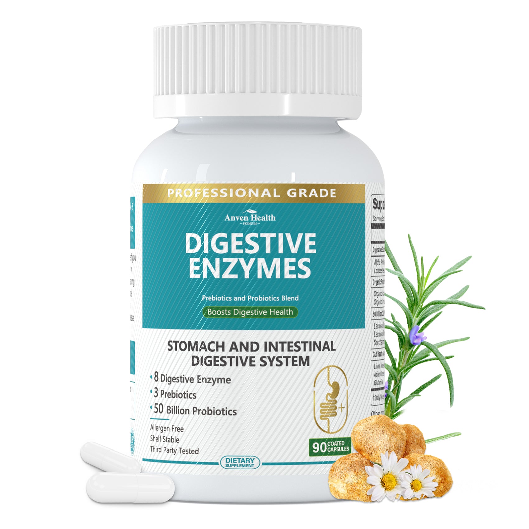 probiotics for stomach and intestinal digestive system
