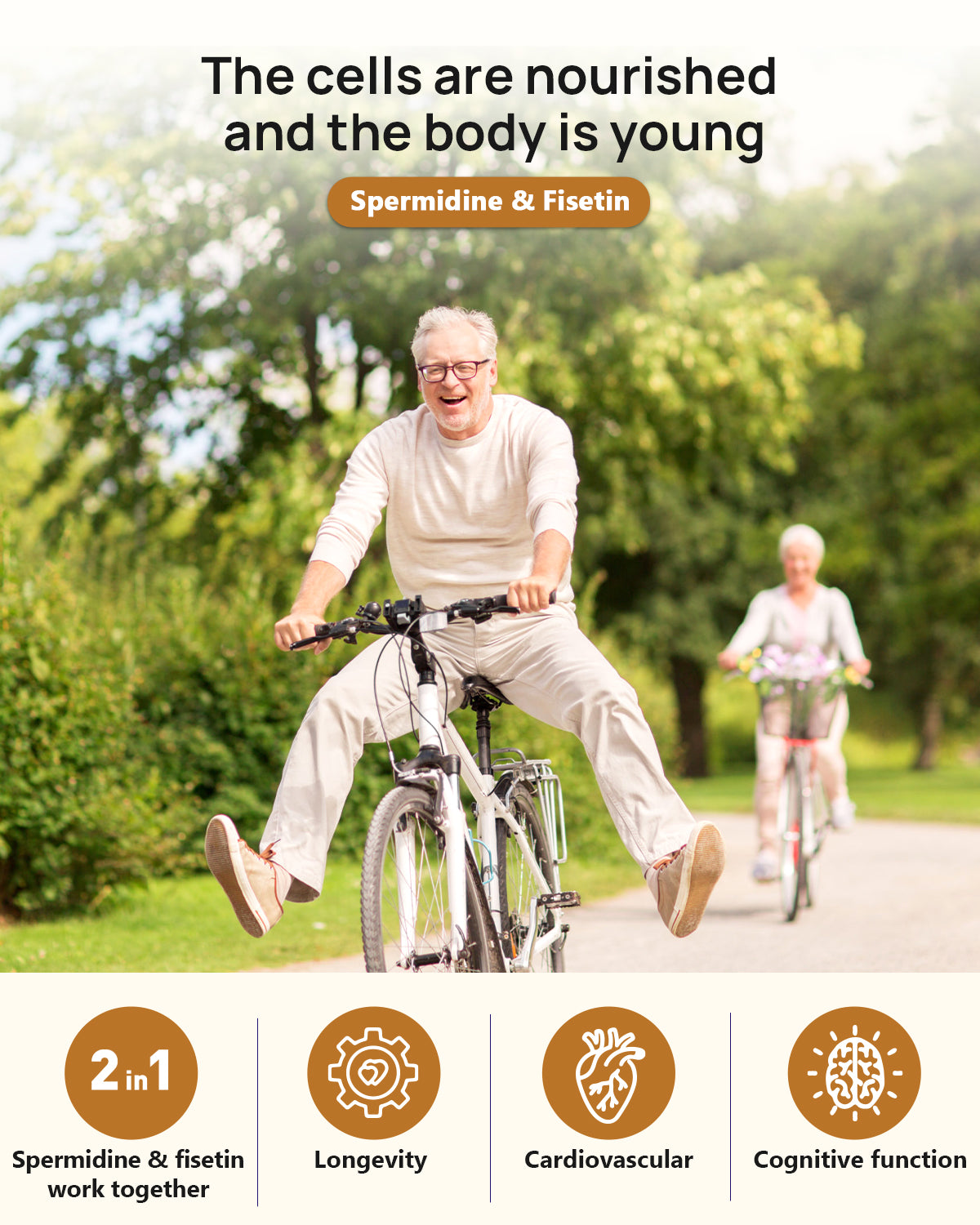 Spermidine & Fisetin Supplement