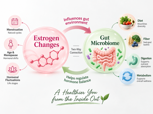 Menopause and the Microbiome: What Changes in Your Gut After 40?