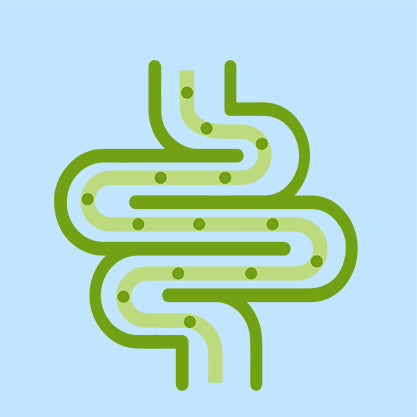Unlocking the Power of Probiotics for Your Health