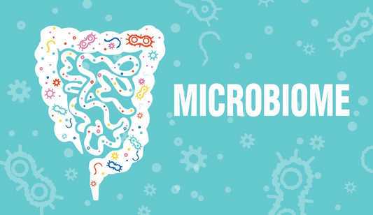 The Ultimate Guide to Gut Health: What Can Probiotics Do For You?