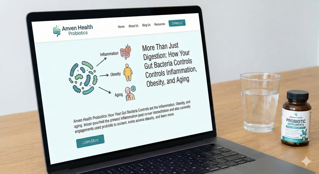 More Than Just Digestion: How Your Gut Bacteria Controls Inflammation, Obesity, and Aging