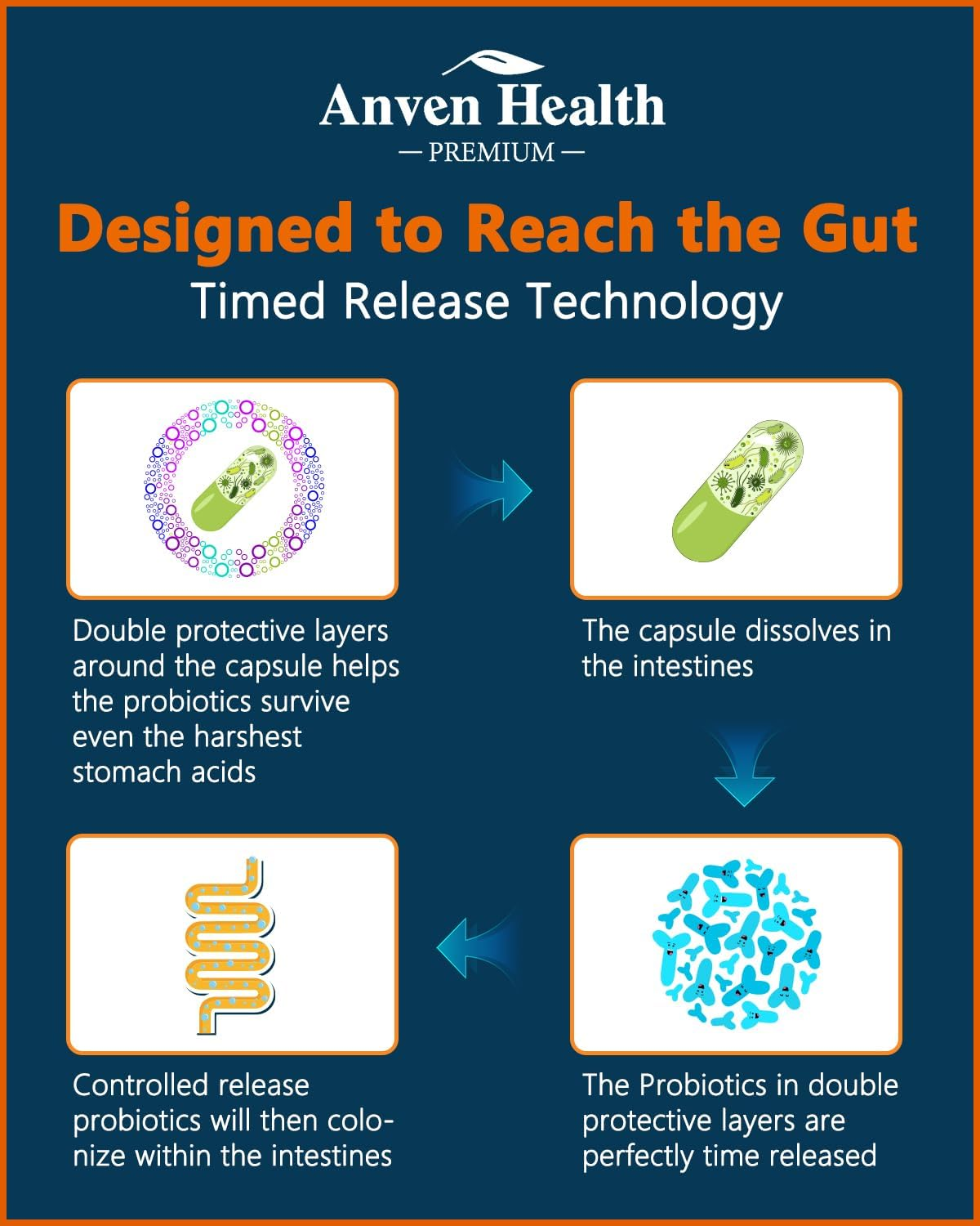 Anven Health Probiotic for men,probiotics for men,seed probiotics,emma gut health,saw palmetto for men,probiotics for digestive health,physicians choice probiotic