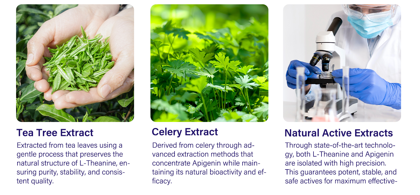 l theanine supplement and apigenin supplement for sleep