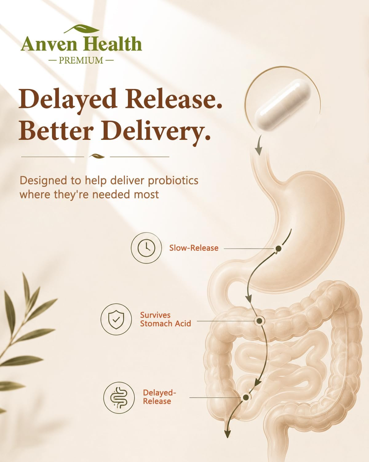 oral probiotics