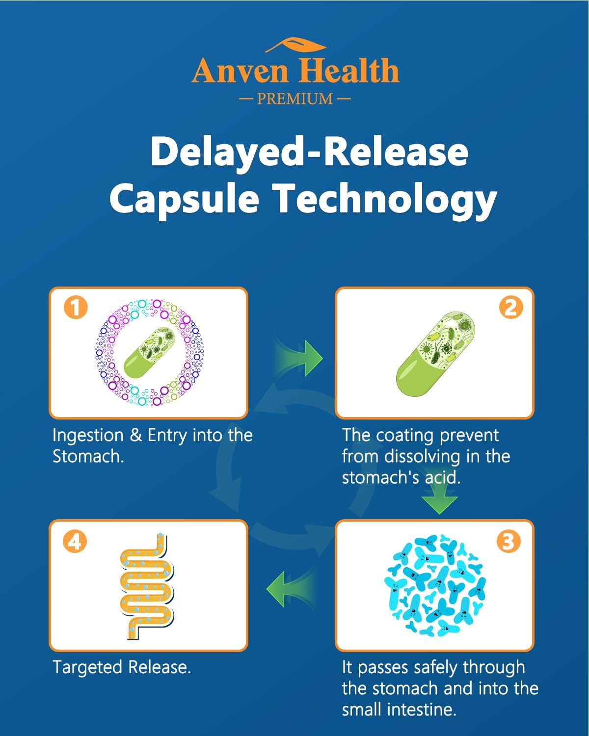 60 Billion Probiotic and Prebiotic for Women and Men