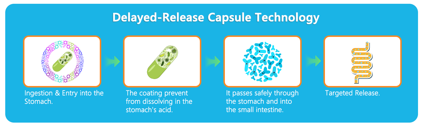 physicians choice probiotic,gut health, digestive protection