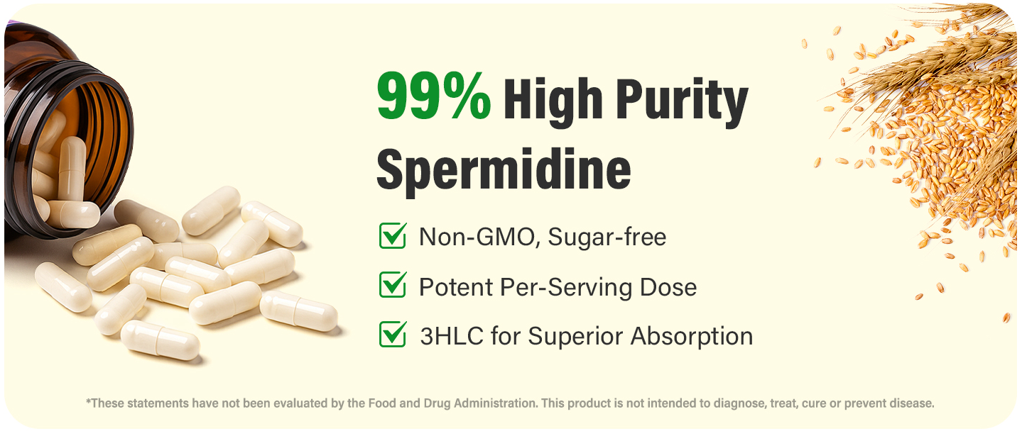 anvenhealth spermidine fisetin supplement for men and women